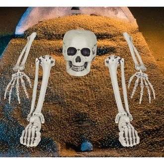 5 részes Csontváz Csont Szett Halloweenre