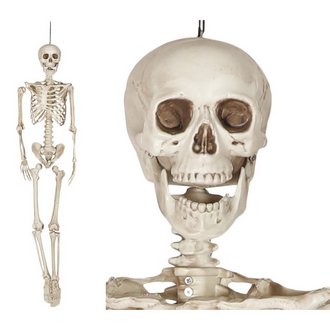 Élethű Csontváz Dekoráció Halloweenre, 160 cm