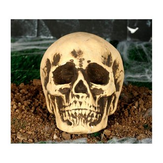 Hab Koponya Dekoráció Halloweenre, 22 cm