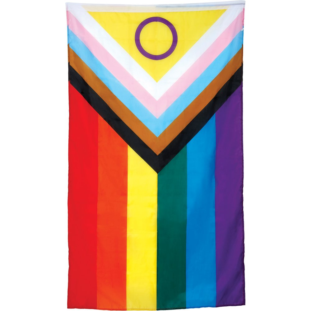 Progress Pride Zászló, 90x150 cm