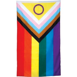 Progress Pride Zászló, 90x150 cm