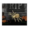 Csontváz Pók Dekoráció Halloweenre, 24 cm