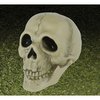 Dekorációs Koponya PVC-ből Halloweenre, 13 cm