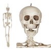 Élethű Csontváz Dekoráció Halloweenre, 160 cm