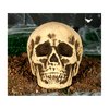 Hab Koponya Dekoráció Halloweenre, 22 cm