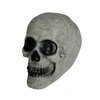 Koponya Dekoráció Halloweenre, 20 cm