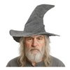 Szürke Varázsló Kalap Felnőtteknek Halloweenre