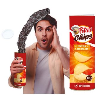 Tréfás Chips Doboz Kígyóval, 20 cm